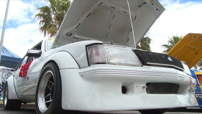 Video: Wild Commodore at the Geelong Revival
