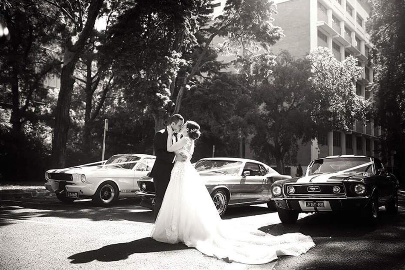 Tony Assaf's wedding cars