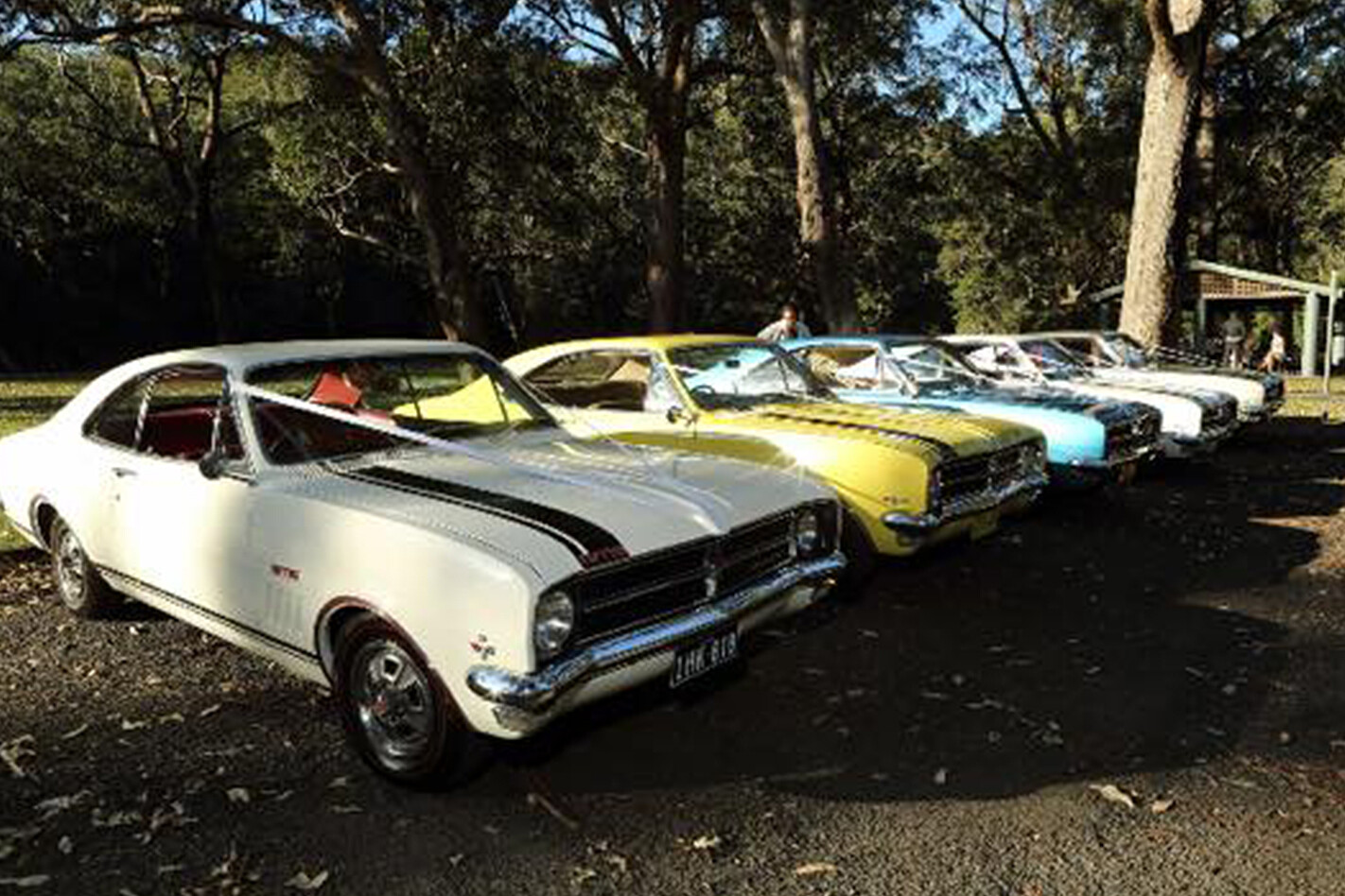Shane Robinson's Holden Monaro wedding cars