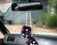 Street Machine Features Lila Thompson Hq Ss Fluffy Dice