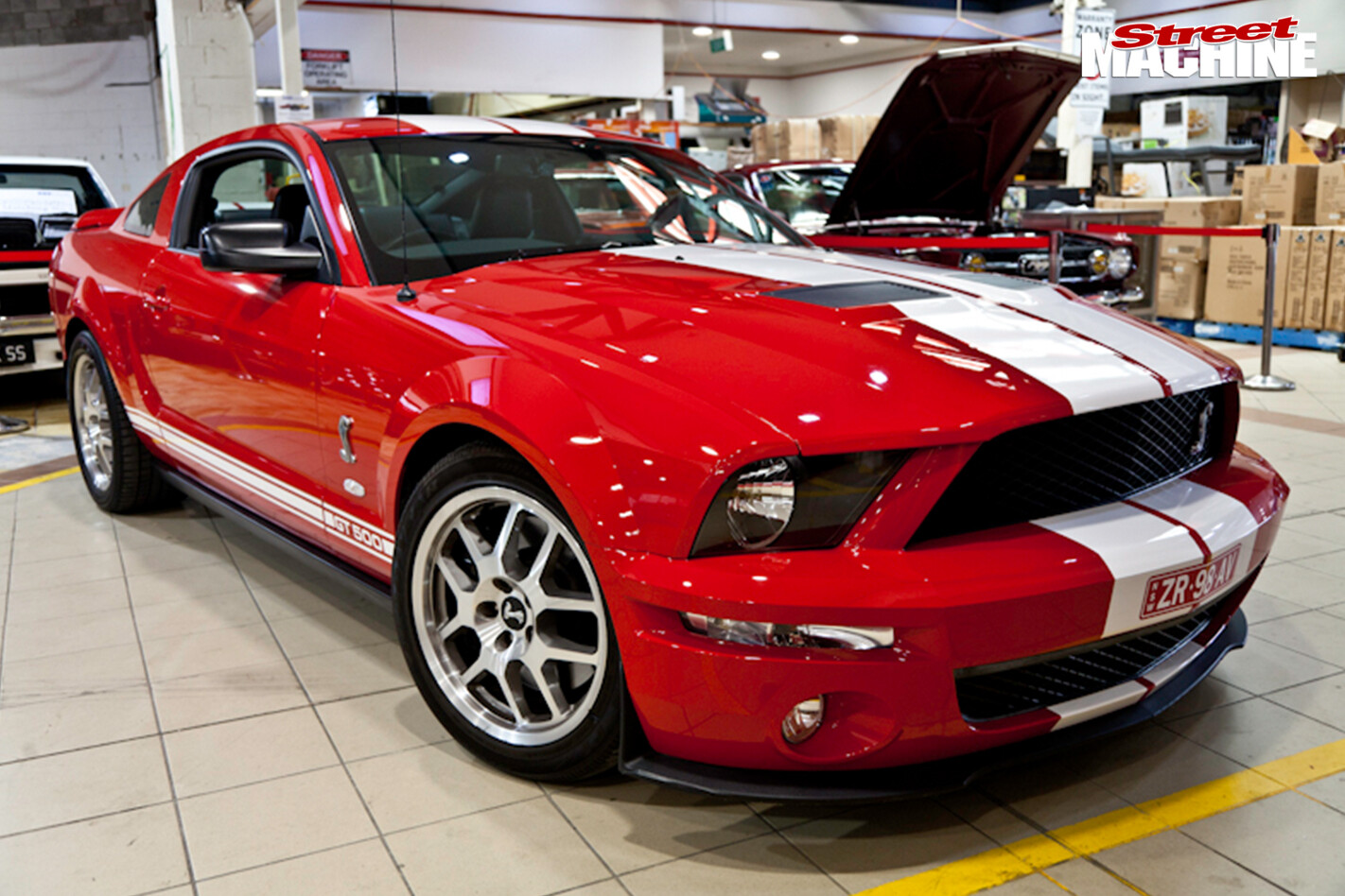 Shelby -mustang